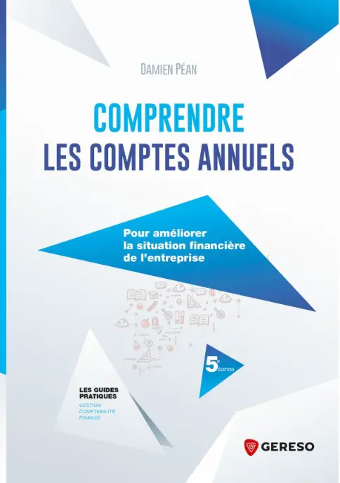 LIVRE Comprendre les comptes annuels