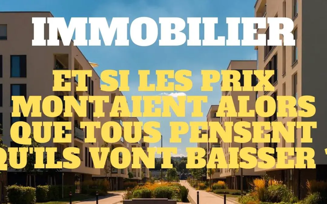 IMMOBILIER bulle