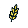 Riz